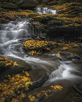Images Dated 26th May 2021: USA, Pennsylvania, Ricketts Glen State Park. Waterfalls cascade over rocks