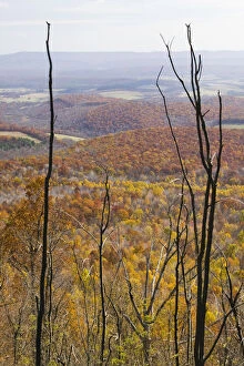 USA-Pennsylvania-Shellsburg: View of the Allegheny Mountains from Mt. Ararat (el