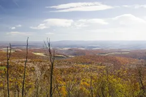 Images Dated 31st October 2006: USA-Pennsylvania-Shellsburg: View of the Allegheny Mountains from Mt. Ararat (el