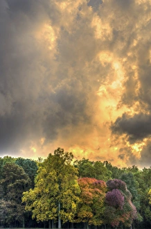 Images Dated 19th October 2012: USA, Pennsylvania, Valley Forge National Park. Stormy clouds over forest at sunrise