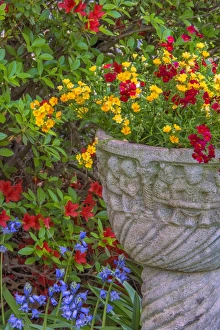 Images Dated 10th May 2015: USA, Pennsylvania, Wayne, Chanticleer Garden