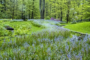 USA, Pennsylvania, Wayne, Chanticleer Garden. Blooming flowers in spring garden. Credit as