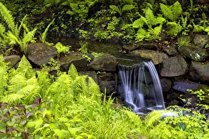 Pennsylvania Prints: USA, Pennsylvania, Wayne, Chanticleer Garden. Creek waterfall in spring garden. Credit as