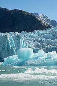 Images Dated 8th January 2023: USA, SE Alaska, Inside Passage, Fords Terror Wilderness, Tracy Arm, South Sawyer Glacier