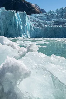 Images Dated 8th January 2023: USA, SE Alaska, Inside Passage, Fords Terror Wilderness, Tracy Arm, South Sawyer Glacier
