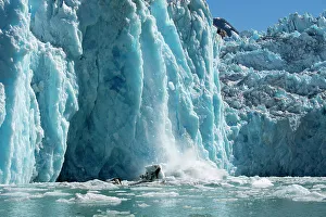 Images Dated 8th January 2023: USA, SE Alaska, Inside Passage