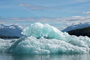 Tracy Arm Prints: USA, SE Alaska, Inside Passage, Tracy Arm