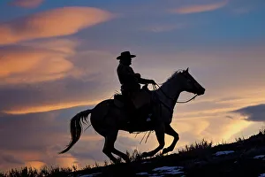 Images Dated 9th June 2022: USA, Shell, Wyoming. Hideout Ranch cowboy on horseback silhouetted at sunset. (PR, MR)