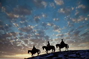 USA, Shell, Wyoming. Hideout Ranch cowboys and cowgirls silhouetted against sunset riding on ridgeline. (PR, MR)