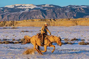 Images Dated 9th June 2022: USA, Shell, Wyoming. Hideout Ranch cowgirl riding fast snows. (PR, MR)
