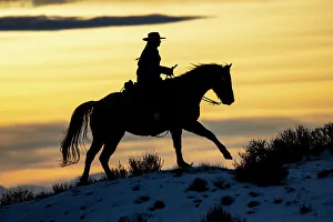 Images Dated 9th June 2022: USA, Shell, Wyoming. Hideout Ranch cowgirl silhouetted on horseback at sunset. (PR, MR)