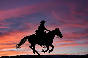 Images Dated 9th June 2022: USA, Shell, Wyoming. Hideout Ranch cowgirl silhouetted on horseback at sunset. (PR, MR)