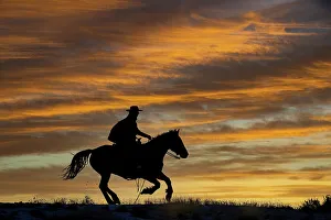 Images Dated 9th June 2022: USA, Shell, Wyoming. Hideout Ranch cowgirl silhouetted on horseback at sunset. (PR, MR)