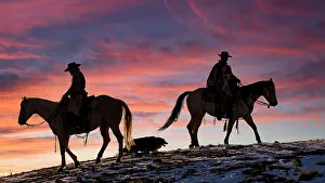 Images Dated 9th June 2022: USA, Shell, Wyoming. Hideout Ranch cowgirls and dog silhouetted against sunsets sky