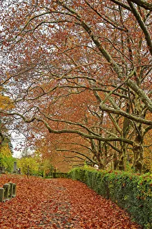 Grave Prints: USA, Sleepy Hollow. Sleepy Hollow Cemetery. (PR)