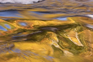 Images Dated 21st October 2006: USA Smoky Mountain NP Tennessee refections of fall foliage in creek