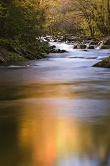 Images Dated 21st October 2006: USA Smoky Mountain NP Tennessee refections of fall foliage in creek