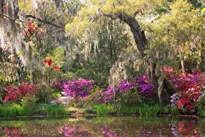 Images Dated 25th March 2007: USA, South Carolina