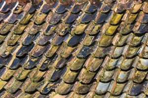 Images Dated 30th September 2014: USA, South Carolina, Charleston. Roof tiles on Boone Hall Plantation