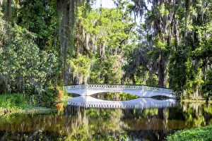 Images Dated 2nd December 2022: USA, South Carolina, Charleston. Magnolia Plantation