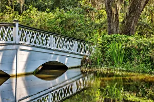 USA, South Carolina, Charleston. Magnolia Plantation