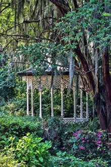 Images Dated 2nd December 2022: USA, South Carolina, Charleston. Magnolia Plantation