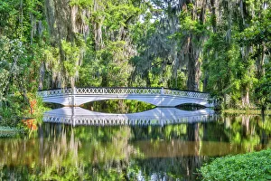 Images Dated 2nd December 2022: USA, South Carolina, Charleston. Magnolia Plantation