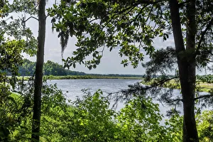 Images Dated 2nd December 2022: USA, South Carolina, Charleston. Middleton Plantation