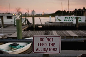 Riverfront Prints: USA, South Carolina, Georgetown, Do Not Feed the Alligators warning sign on pier