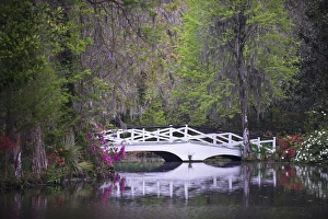 Images Dated 28th October 2008: USA, South Carolina, Magnolia Gardens. Wooden footbridge reflects in pond. Credit as