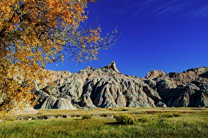 South Dakota Prints: USA, South Dakota, Wall, Badlands National Park, Buttes framed by Fall Colorful Trees