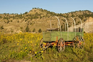 Images Dated 7th September 2014: USA, South Dakota, Wild Horse Sanctuary. Scenic with vintage wagon