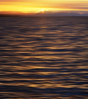 Savanah Stewart Prints: USA, Southeast Alaska, Ketchikan sunset