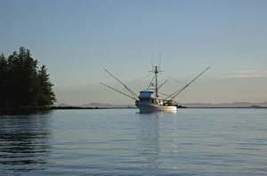 Images Dated 17th August 2010: USA, Southeast Alaska near Ketchikan, troller at sunset