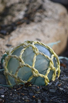 Images Dated 20th August 2015: USA, Southeast Alaska near Ketchikan, Japanese glass fishing float