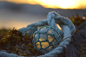 Images Dated 20th August 2015: USA, Southeast Alaska near Ketchikan, Japanese glass fishing float