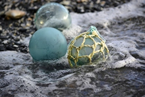 Glass Prints: USA, Southeast Alaska near Ketchikan, Japanese glass fishing float