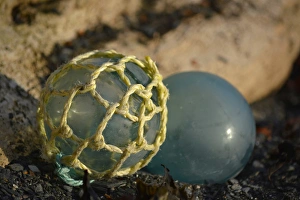 Images Dated 20th August 2015: USA, Southeast Alaska near Ketchikan, Japanese glass fishing float
