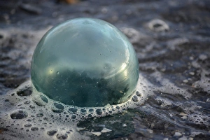 Images Dated 20th August 2015: USA, Southeast Alaska near Ketchikan, Japanese glass fishing float