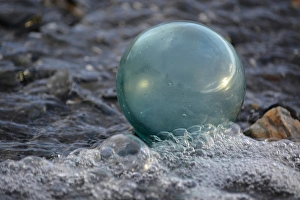 Images Dated 20th August 2015: USA, Southeast Alaska near Ketchikan, Japanese glass fishing float