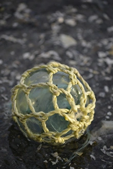 Images Dated 20th August 2015: USA, Southeast Alaska near Ketchikan, Japanese glass fishing float