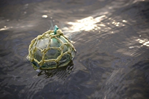 Images Dated 20th August 2015: USA, Southeast Alaska near Ketchikan, Japanese glass fishing float