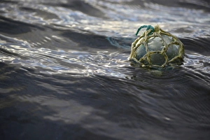 Images Dated 20th August 2015: USA, Southeast Alaska near Ketchikan, Japanese glass fishing float