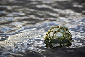 Images Dated 20th August 2015: USA, Southeast Alaska near Ketchikan, Japanese glass fishing float
