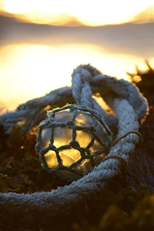 Images Dated 20th August 2015: USA, Southeast Alaska near Ketchikan, Japanese glass fishing float