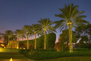South East Prints: USA, Southeast Florida. Festive Christmas holiday lighting in the tropical warmth of Florida