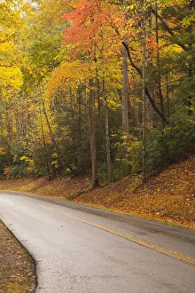 Great Smoky Mountain Prints: USA, Tennesse. Fall foliage along road to Cades Cove