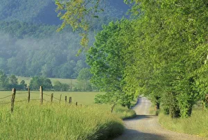 USA, Tennessee