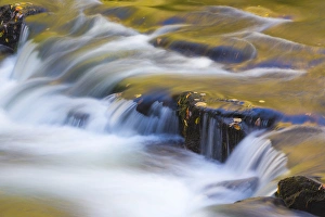Images Dated 23rd October 2014: USA, Tennessee, Cherokee National Forest. Golden reflections on North River. Credit as