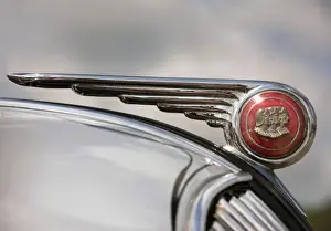 USA, Tennessee, Cookeville. Detail of vintage car on display during an antique car show